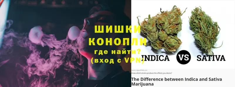 Бошки марихуана SATIVA & INDICA  дарнет шоп  Высоцк 